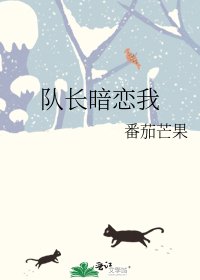 队长暗恋我