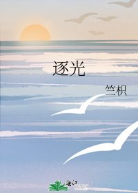 《逐光》